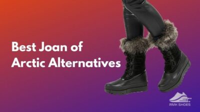 best-joan-of-arctic-alternatives