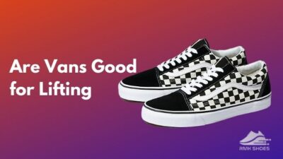 are-vans-good-for-lifting