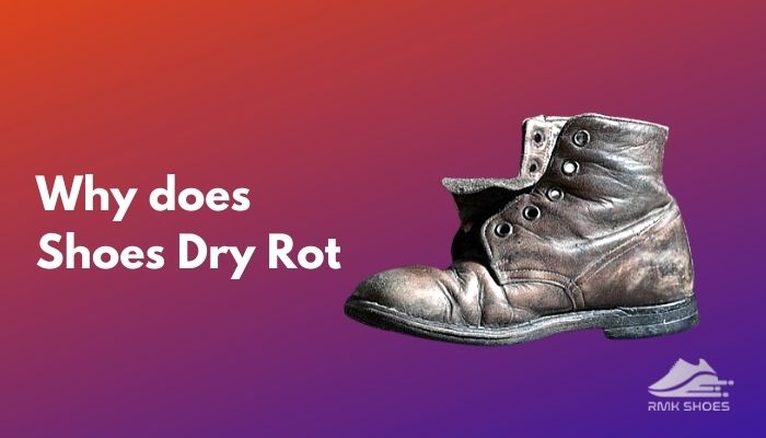 why-does-shoes-dry-rot