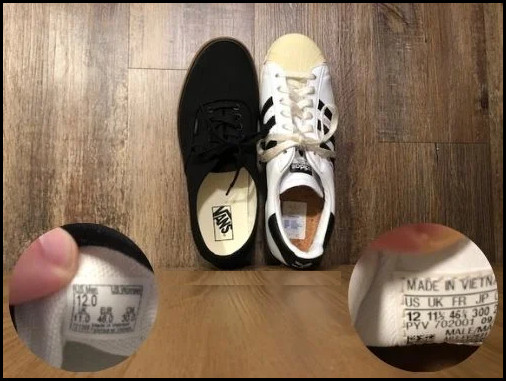 adidas-superstar-vs-vans-authentic