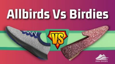 allbirds-vs-birdies
