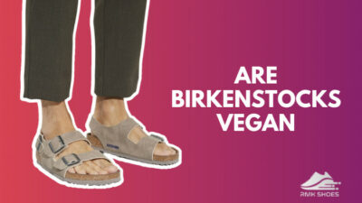are-birkenstocks-vegan