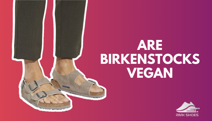 are-birkenstocks-vegan