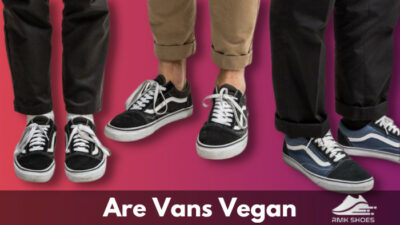 are-vans-vegan