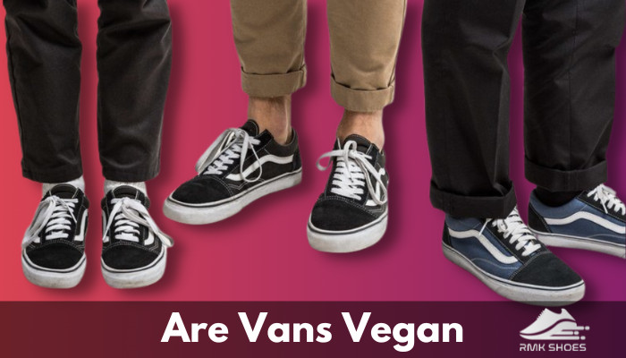 Vans vegan 2024