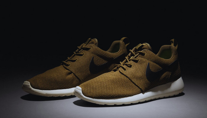 are roshes good workout shoes