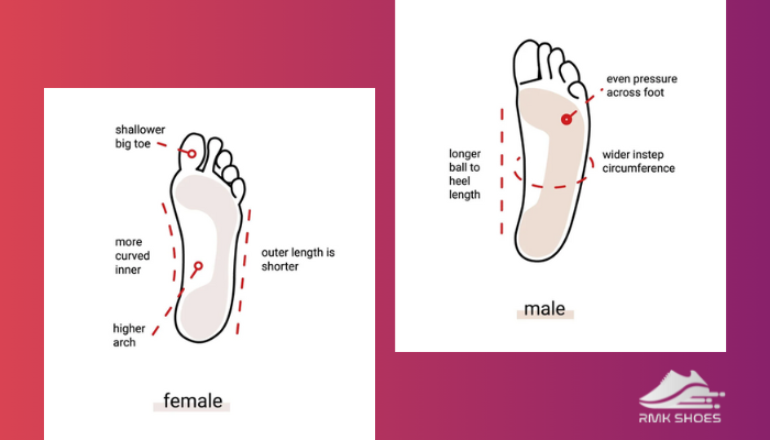 male-and-female-foot-difference