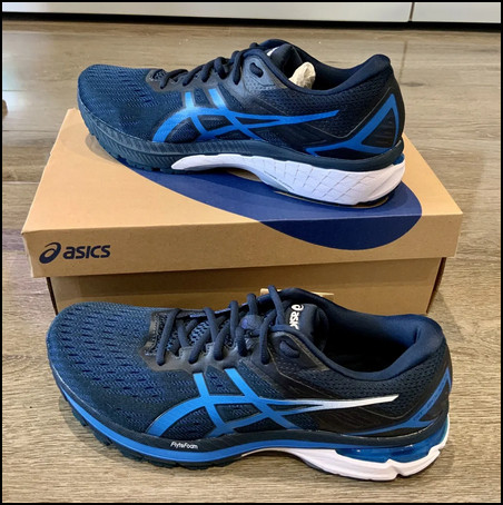 overview-of-asics-gt-2000-9