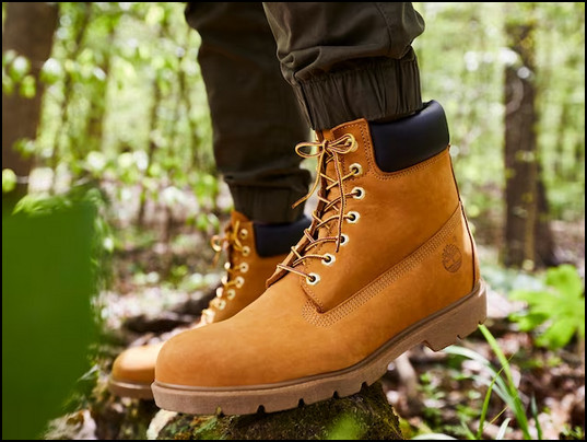 overview-of-timberland