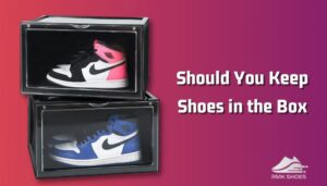 Should You Keep Shoes in the Box? [Experts' Point of View]