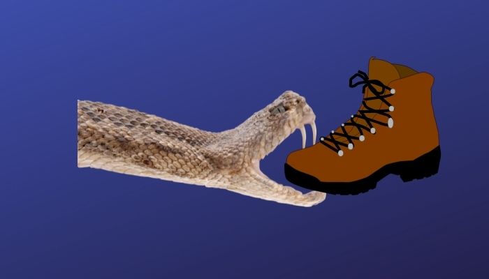 can a snake bite through a leather boot