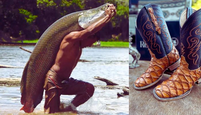 what-are-pirarucu-boots