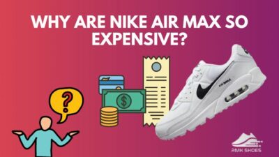 why-are-air-max-so-expensive