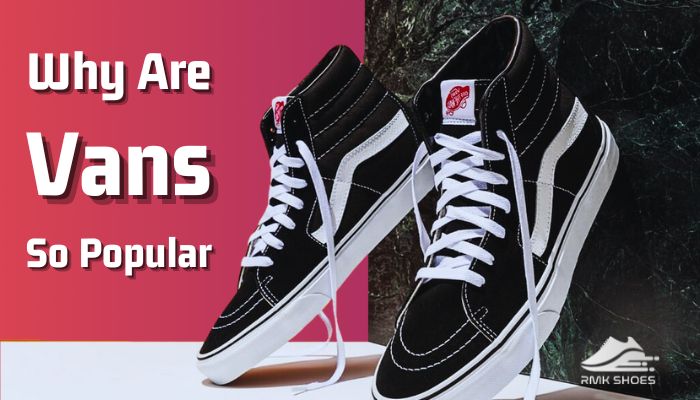 Why Are Vans So Popular? [7 causes for Being Trendy in 2024